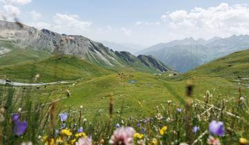 Europa Roadtrip: From City Vibes to Alpine Highs