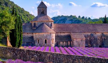 From Burgundy to the Camargue along the Saône and the Rhône Rivers (port-to-port cruise)