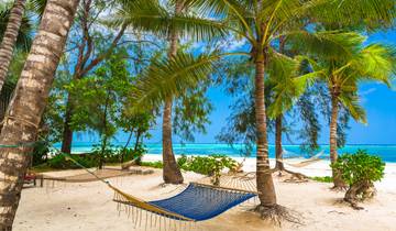 Cape Town & Zanzibar : Cape Point rencontre Beach Paradise