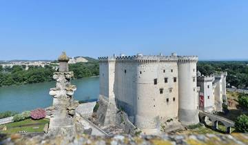 Provence Camargue Vers Nîmes