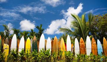 Best of Hawaii (Intra Tour Air Hawaii 2 Flights, Moderate Cruise)