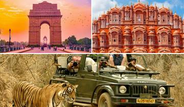8-Day Golden Triangle Heritage Tour with Taj Mahal, Jaipur Palaces & Ranthambore Wildlife Safari