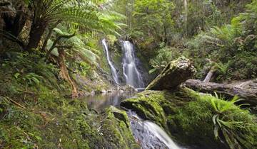 Highlights of Tasmania's West Coast