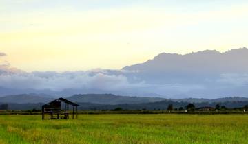Kuala Lumpur et exploration de Bornéo - 11 jours circuit