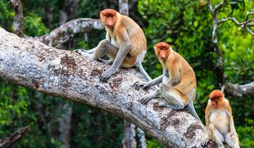 Kuching & Sarawak Longhouse Stay - 5 days