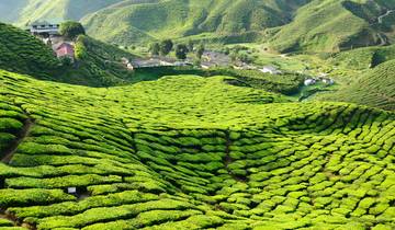 Best of Malaysia - 7 days Tour