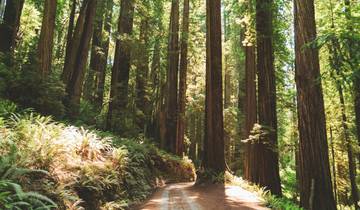 Exploration de la Californie sauvage - 8 jours