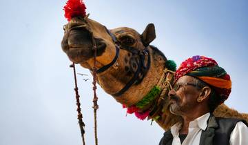 Indian wildlife safari with puhkar fair