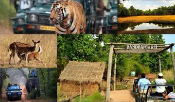 13 Days Golden Triangle & Tiger Safari Tour with Khajuraho and Central India Wildlife Reserves Tour