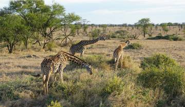 Safari de 6 jours avec les Big Five circuit