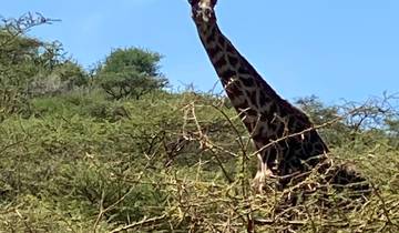 8 jours de safari en Tanzanie circuit