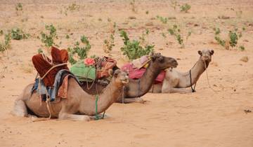 Circuit découverte de la Mauritanie - 8 jours / 7 nuits