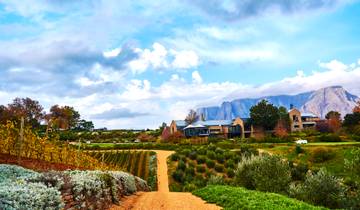 Les points forts des vignobles d'Afrique du Sud