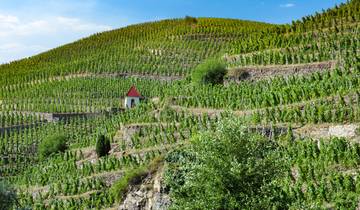 Découvrez le monde fabuleux de la vigne et du vin, les terroirs d'exception du Rhône et de la Saône (croisière port à port)