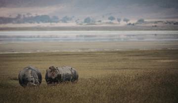 SAFARI D\'UNE JOURNÉE DANS LE CRATÈRE DU NGORONGORO circuit