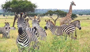 SAFARI FAMILIAL EXPLORATEURS 3 JOURS circuit