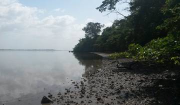Discover Sierra Leone in 5 Unforgettable Days