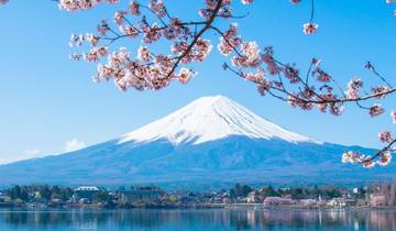 Best of Japan 2026 Tour