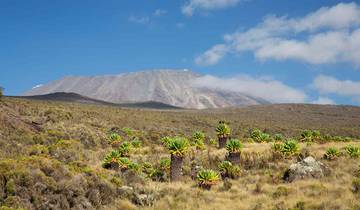 Trek de 7 jours sur la route de Shira avec 2 nuits d\'hôtel avant et après l\'ascension en Tanzanie circuit