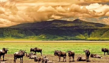 【Tanzanie】6 Jours 5 Nuits Safari Aventure Faune et Culture circuit