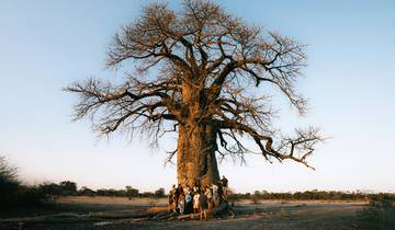 Aventure en Tanzanie