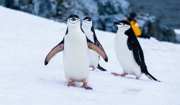 Patagonie et Antarctique
