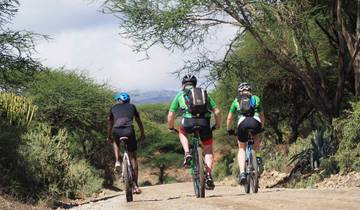 Kilimanjaro 360 Westelijke Kilimanjaro Fietsen 5 Dagen-rondreis