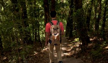 Salvador and Chapada Diamantina Trekking - Vale do Pati (10 days)