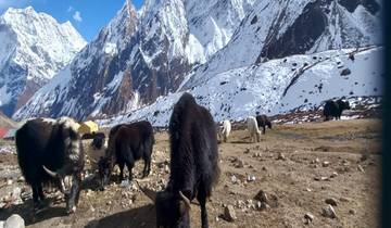 Manaslu and Annapurna Circuit Trek with Tilicho Lake