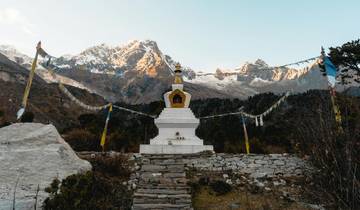 3-Night Ayurveda & Yoga Escape: Revitalize Your Body with Ancient Healing Techniques Tour