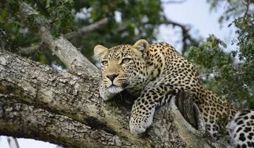 Voyages : Expérience du safari au Kenya - National Geographic Journeys circuit