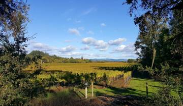 Women-only 5 day California Coastlines and Vineyards, Waves and Wine small group tour