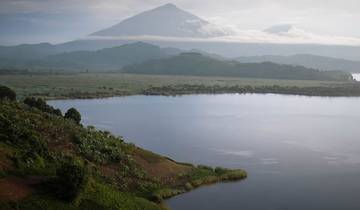 15 jours de trekking pour les gorilles et les chimpanzés, de safari pour les Big 5 et de safari d\'observation de la nature circuit