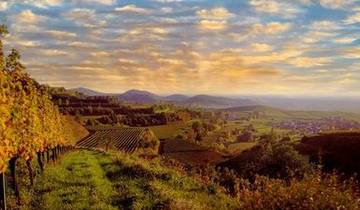 Autumn Splendor on the Rhine: Cruise & Hikes through the Rhineland (port-to-port cruise)