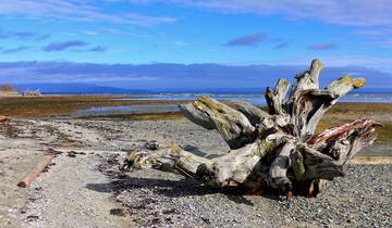 Aventure sur l'île de Vancouver - 5 jours