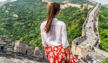 China Cultural and Nature Panda Fans'Tour (private guide and driver）Family Customizable