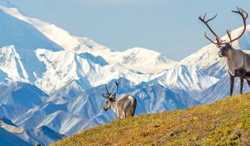 Magnificent Rockies & Alaska Exploration 2026 - 28 Days Tour