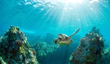Hawaiian Discovery (Intra Tour Air Hawaii 3 vols)