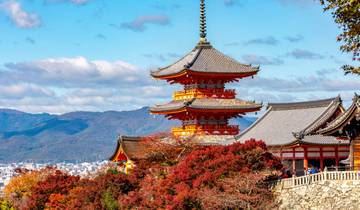 Best of Japan Tour