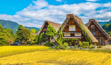 Discover Japan Tour
