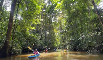 7-Day Tortuguero Kayaking Trip Tour