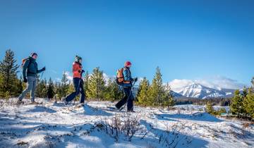 Aventure hivernale dans les Rocheuses canadiennes