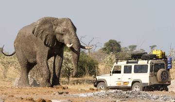 Safari de 3 jours à Chobe Big Five à l\'hôtel Two Rivers circuit