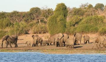 3-day Chobe Big Five Safari at Two Rivers Hotel