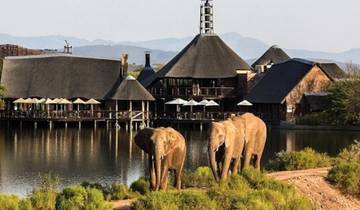 3-Day Cape Town Big Five Safari & Elephant Experience