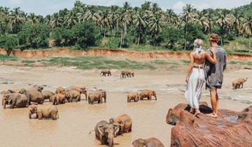 3-Day Chobe Midrange Safari with Boat and Game Drives