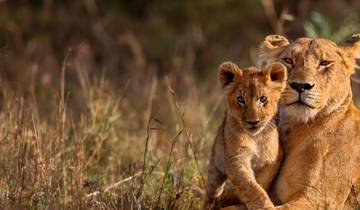 Gorillas & Game Parks Tour