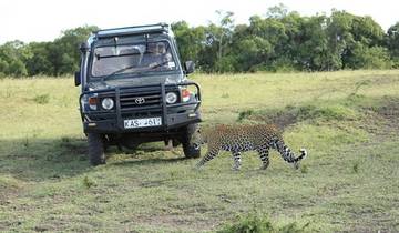 Masai Mara Camping Safari Tour