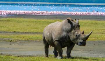 3 jours Maasai Mara Group Joining - Dates de départ fixes circuit