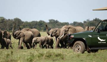 Le Roi Lion Safari Tour - Voyage moyen de gamme à travers le cercle de la vie circuit